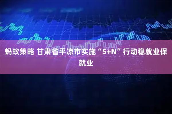 蚂蚁策略 甘肃省平凉市实施“5+N”行动稳就业保就业