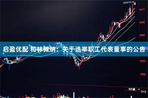 启盈优配 和林微纳：关于选举职工代表董事的公告