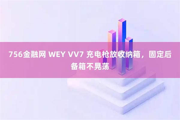 756金融网 WEY VV7 充电枪放收纳箱，固定后备箱不晃荡