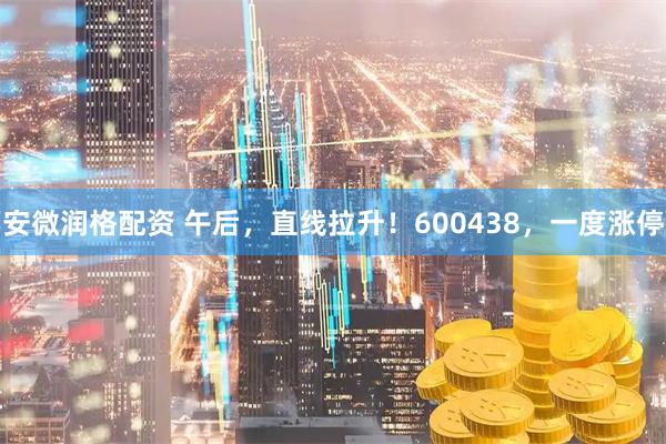 安微润格配资 午后，直线拉升！600438，一度涨停